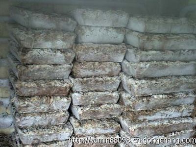 2014年喂蟹饲料鱼大量出售预定_农副产品_世界工厂网