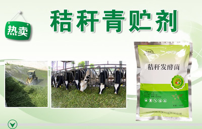 秸秆怎么做青贮饲料要加什么进去