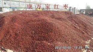 供应普通级禽畜用饲料枣_农副产品_世界工厂网中国产品信息库