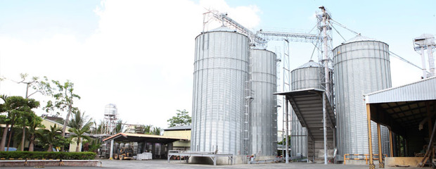 三福产业 匠心铸就优质饲料，科技驱动现代养殖