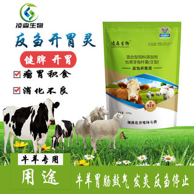 饲料酵母粉 提升动物健康与生产性能的营养利器