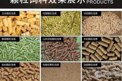 专业铸就品质，服务深耕农业——四川省齐全饲料有限责任公司的发展之路