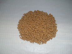 探索优质饲料产品，助力养殖业高质量发展