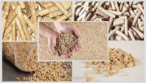 抗氧化饲料添加剂在抗脂质氧化和改善肉质中的应用