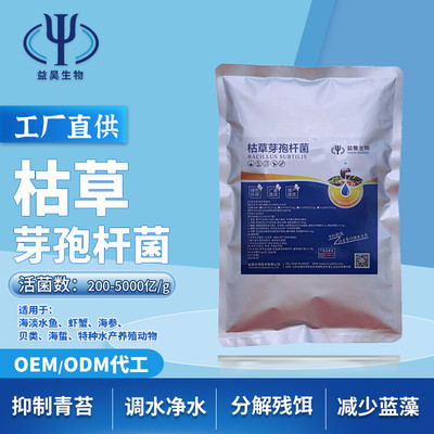 益昊枯草芽孢杆菌 水产养殖领域的微生物利器