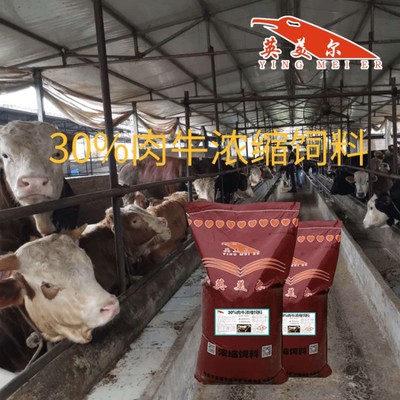 牛饲料各阶段精选指南 从犊牛到成年牛的通用饲料推荐